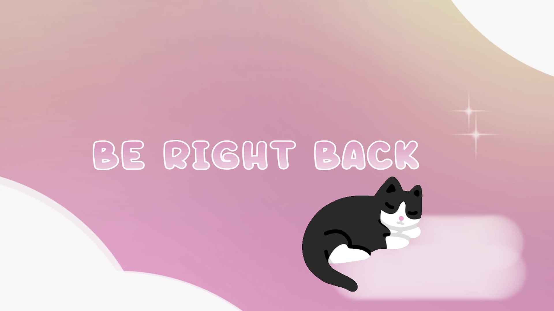 Kitty video thumbnail