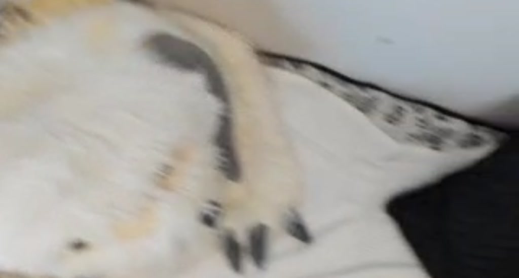 Penny_London video thumbnail