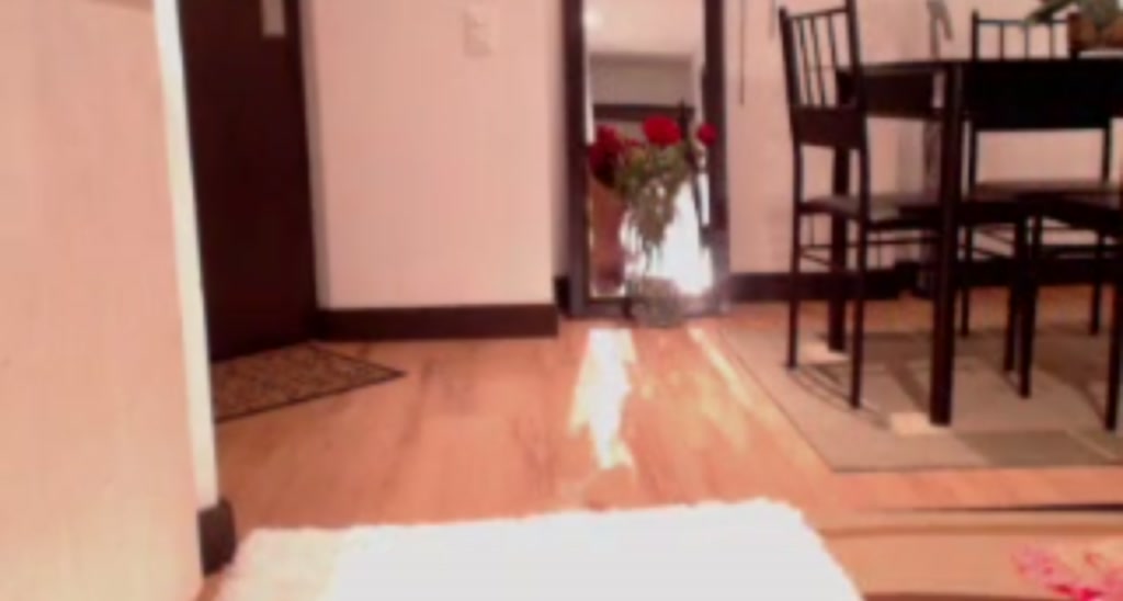 paula_fer video thumbnail