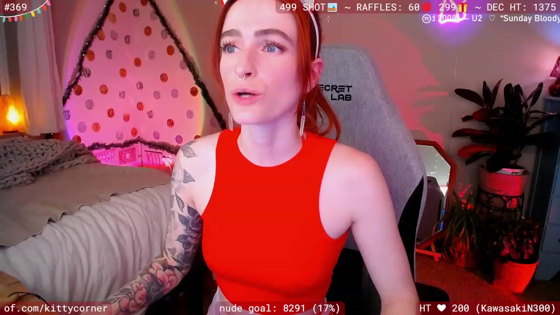 KittyCorner video thumbnail