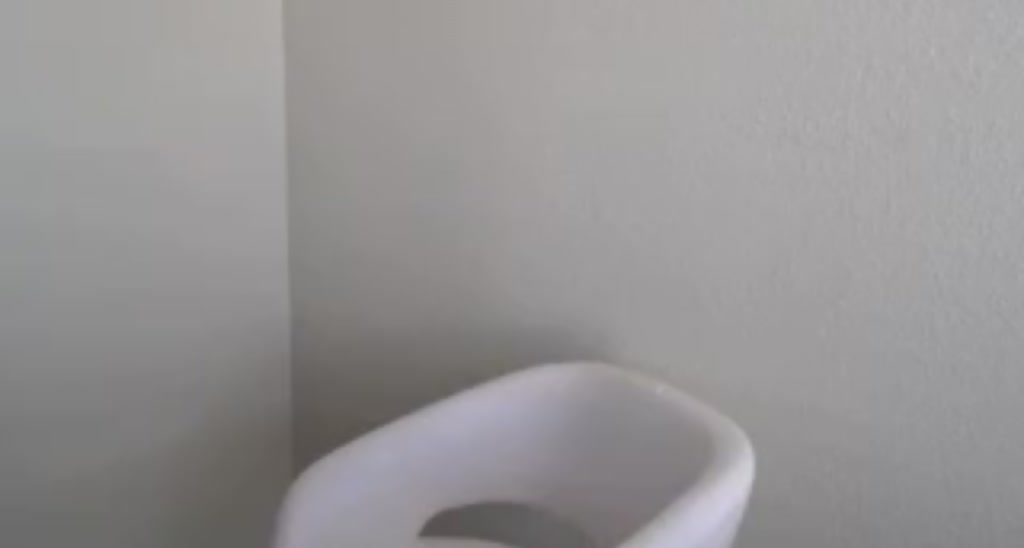 Willow_Mae video thumbnail