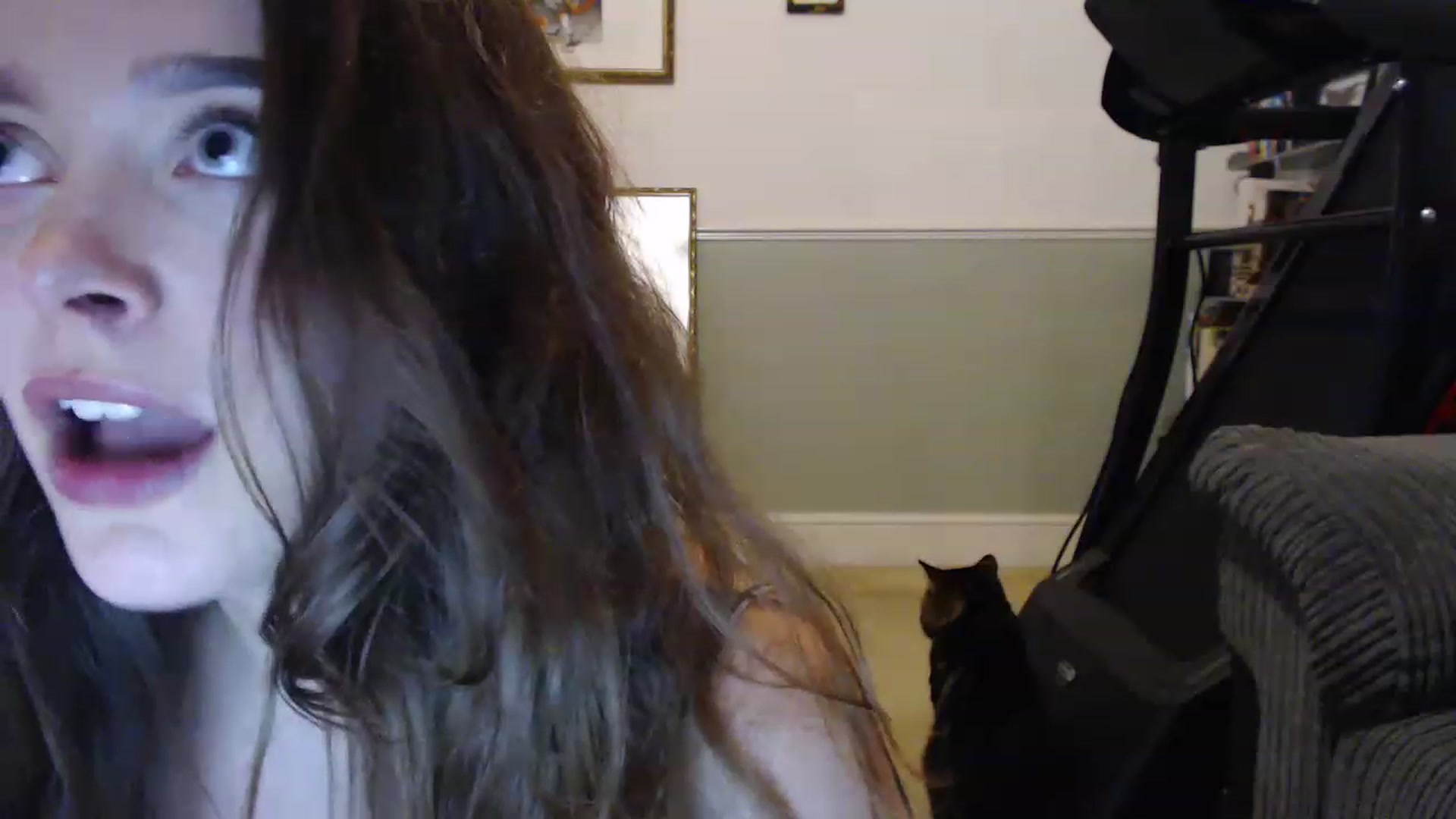 KittyCash3w video thumbnail