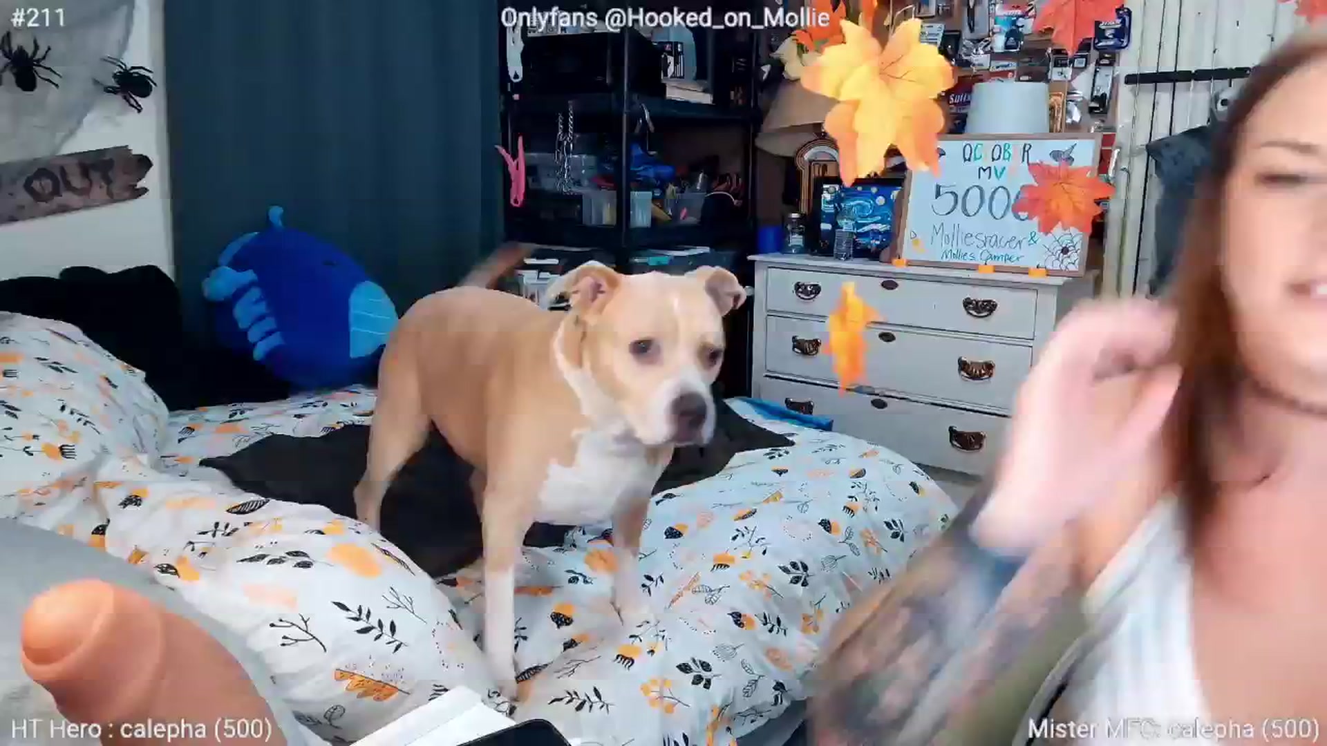 MollieRose_ video thumbnail