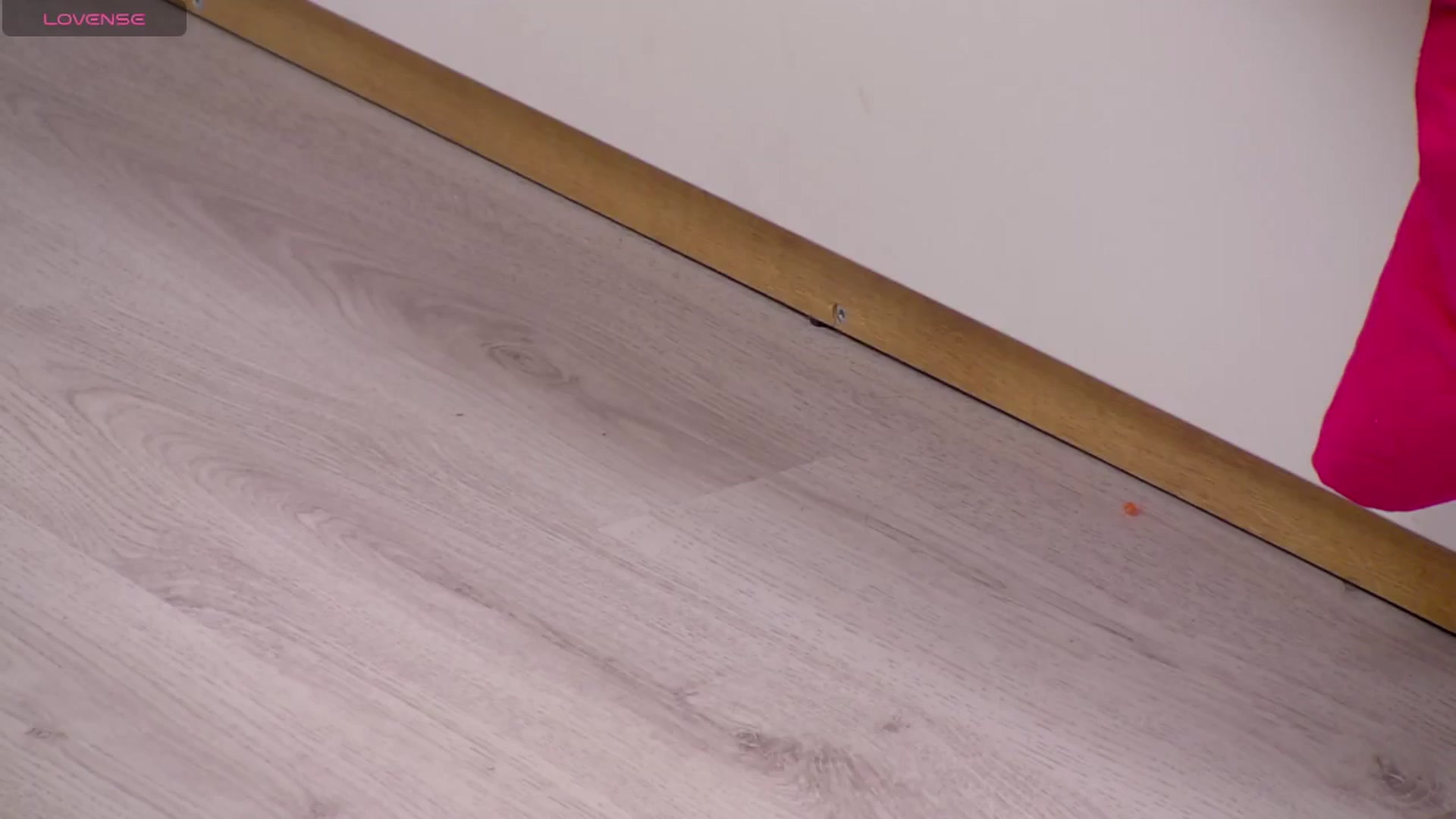 Squirrel_MFC video thumbnail