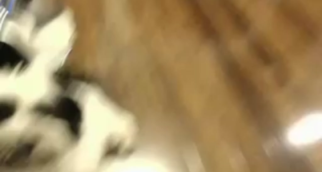 NinaKarenina video thumbnail