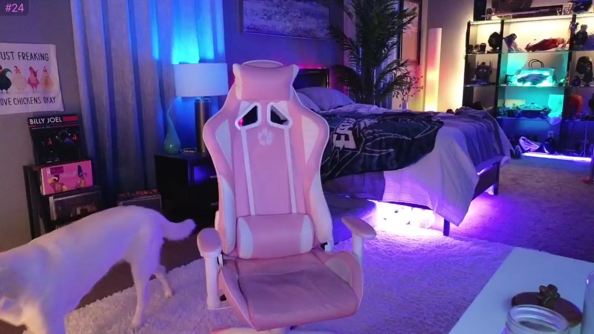 LexxiStar video thumbnail