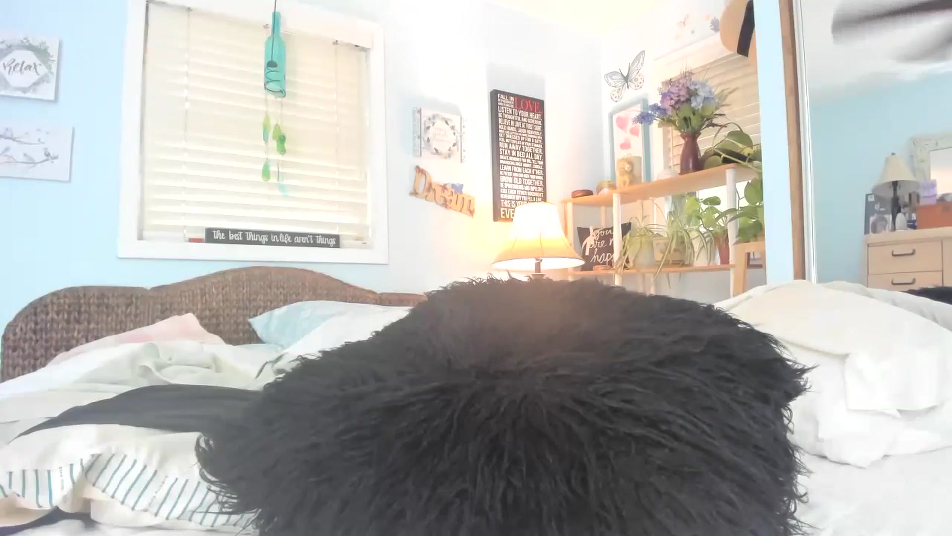 thewolfof_MFC video thumbnail