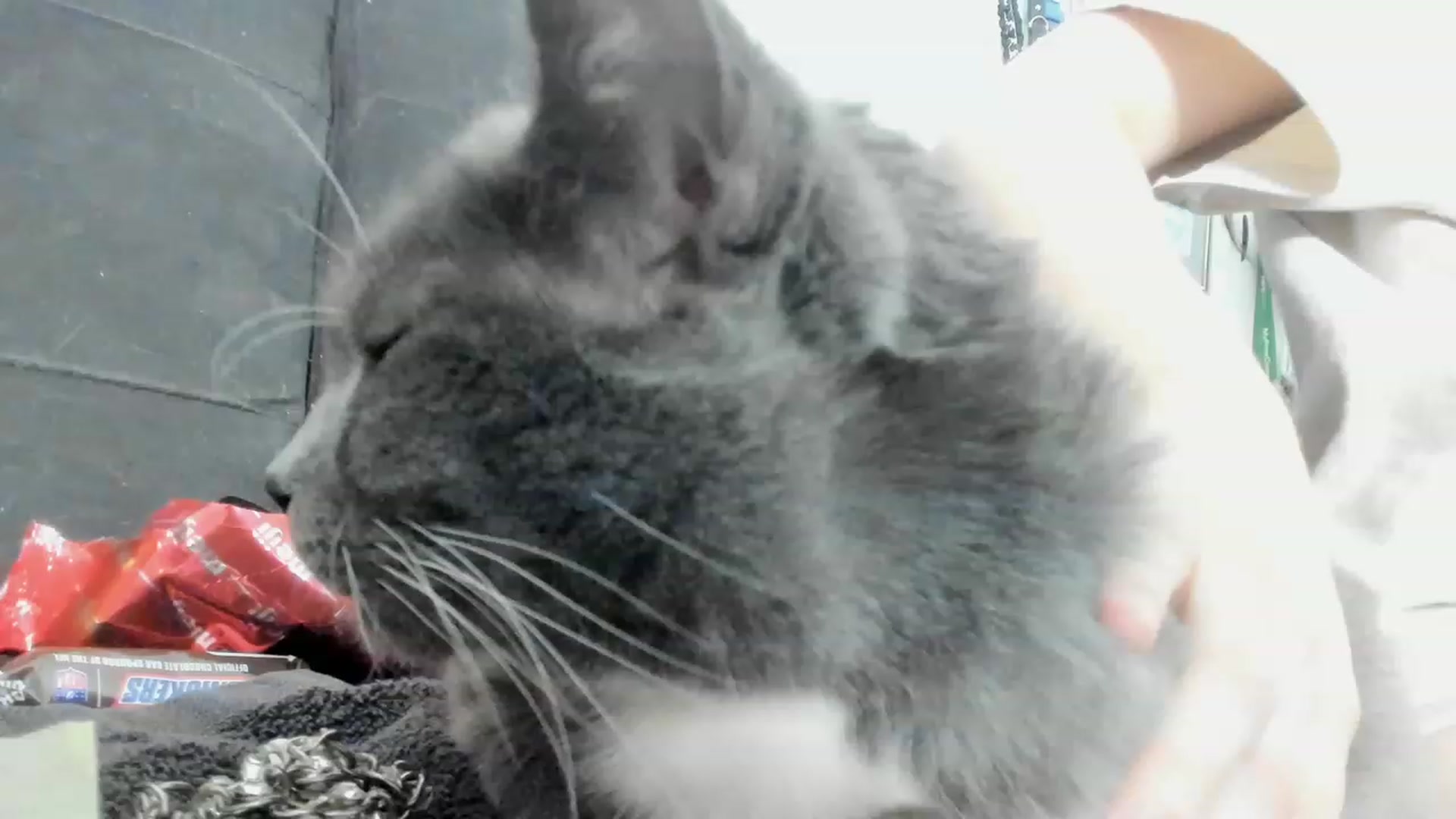 Isabelle_Babe video thumbnail