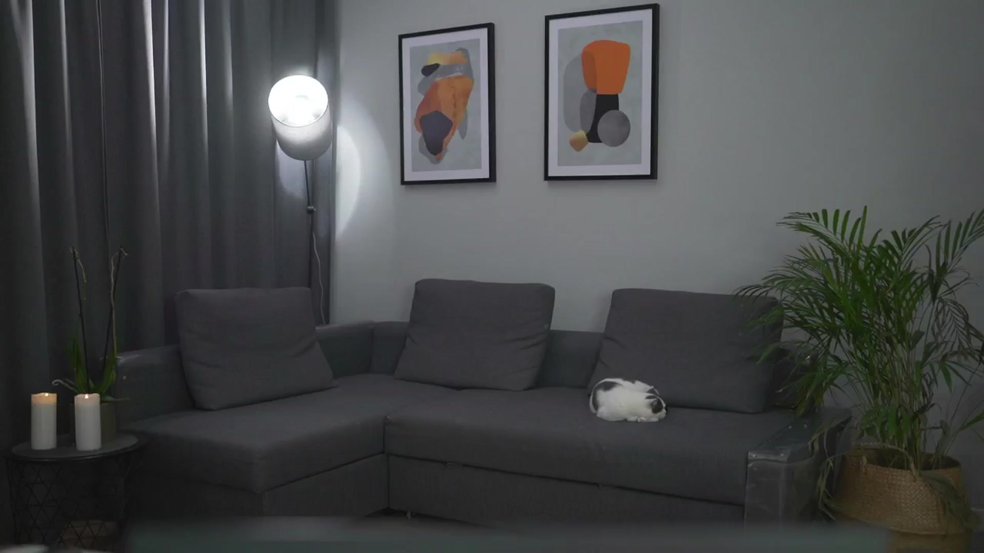 Stacywithyou video thumbnail