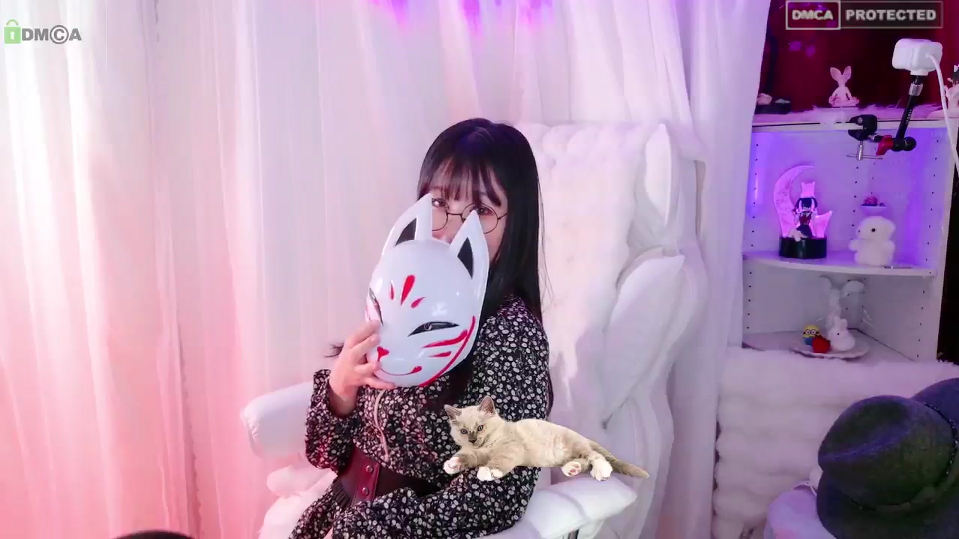 meows video thumbnail