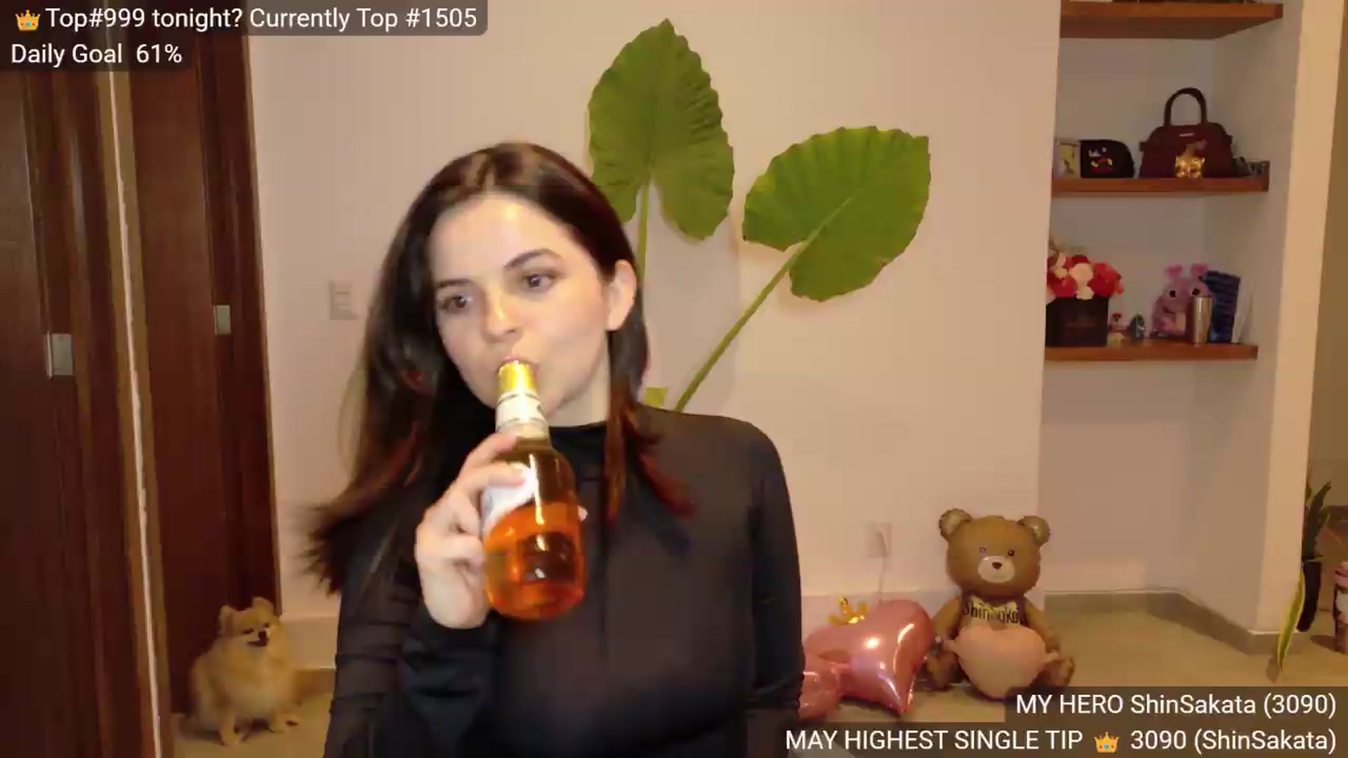 BunnyGotBack video thumbnail