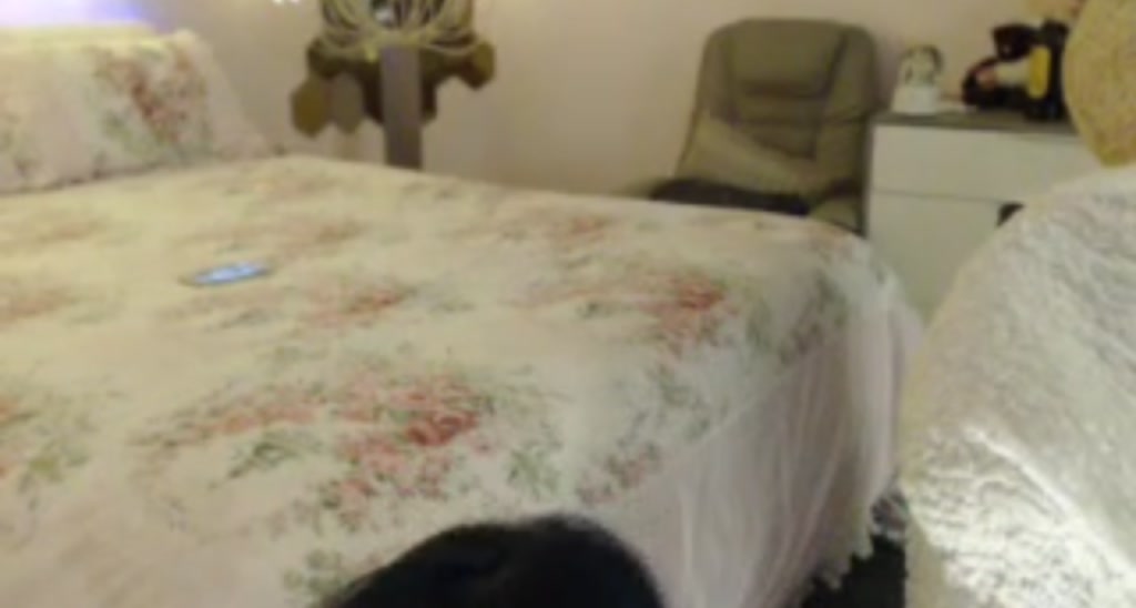 ShinToxicated video thumbnail
