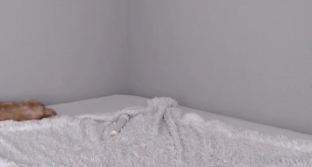 Angie_fae video thumbnail