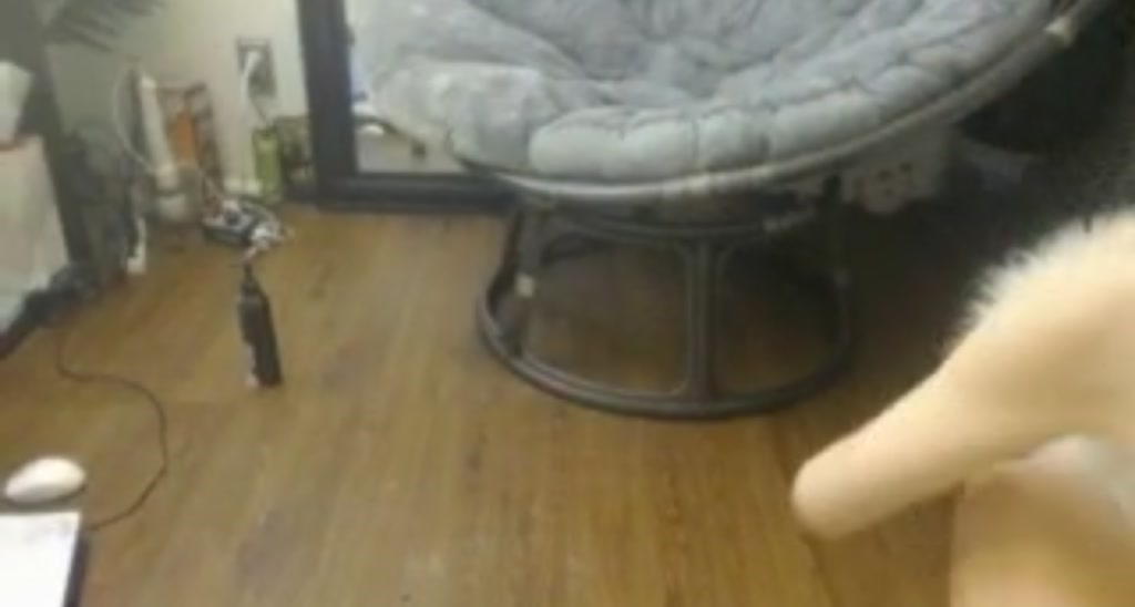 Evohlet video thumbnail