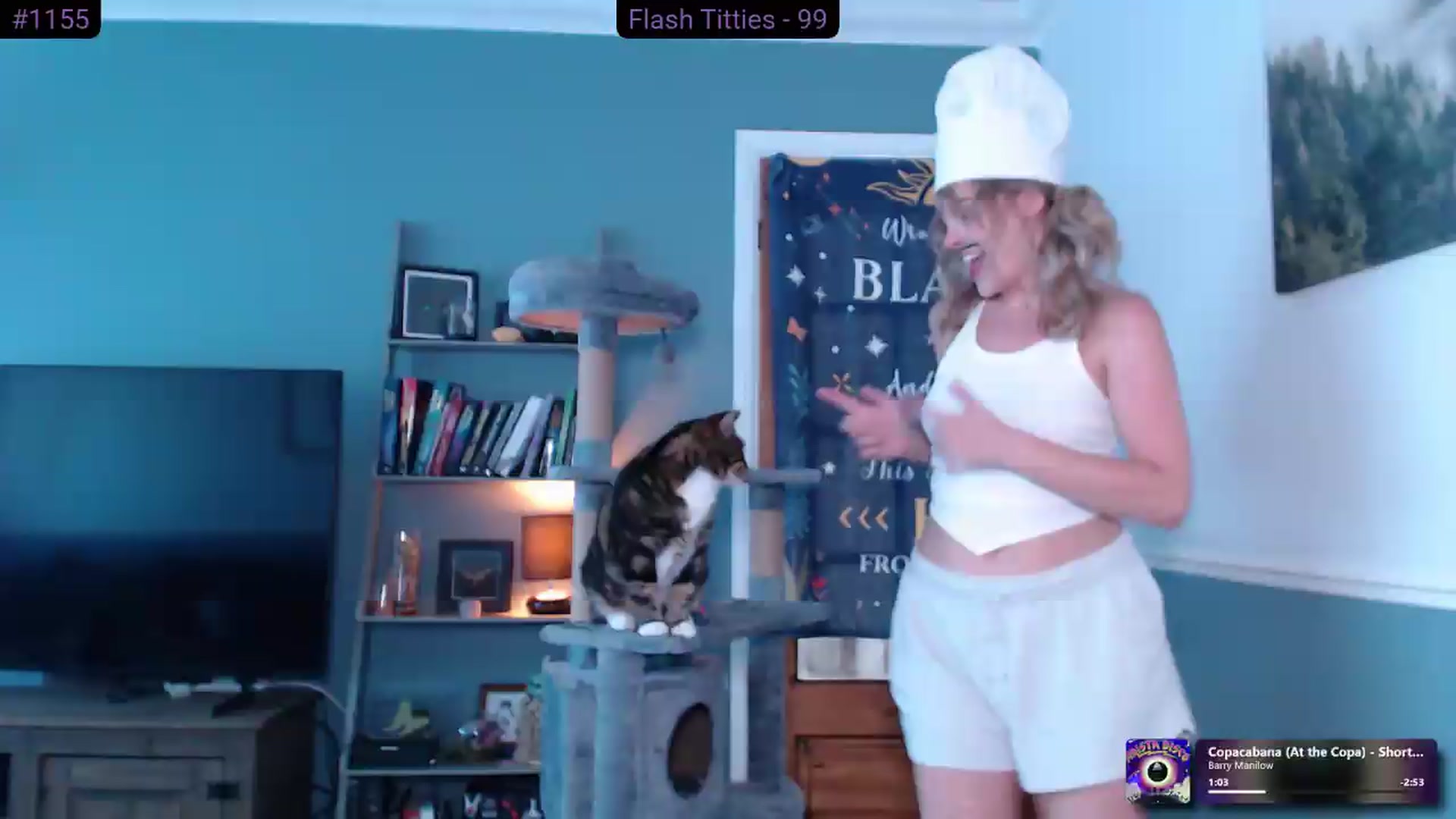 KittyCash3w video thumbnail