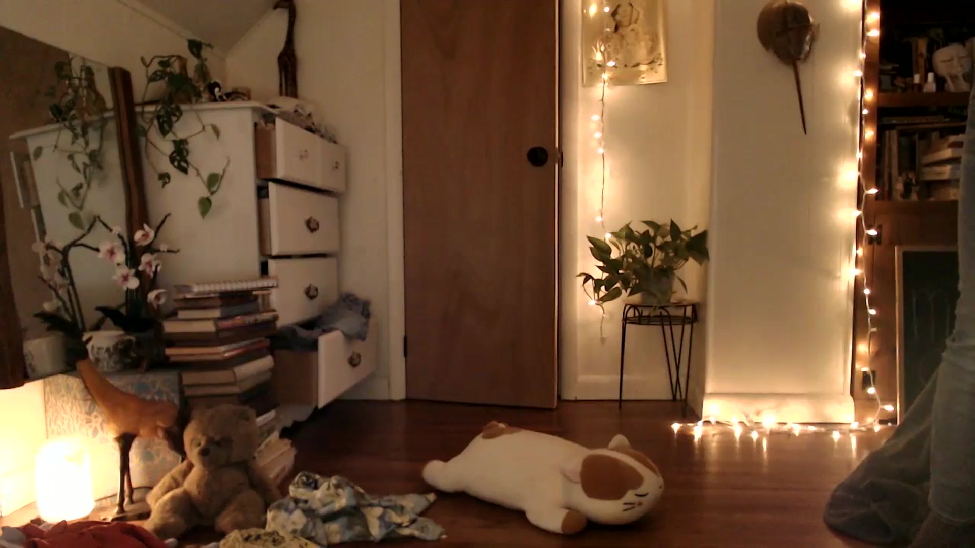 WildflowerEm video thumbnail