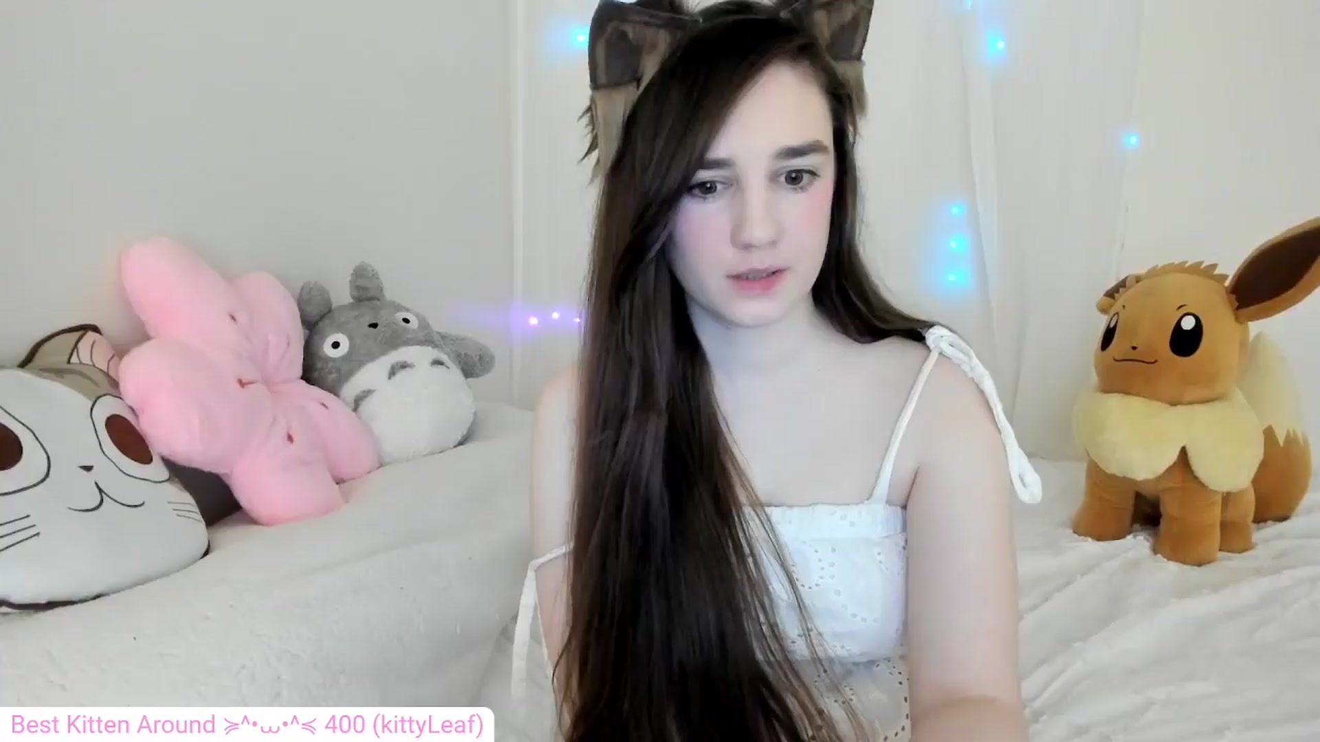 Kitty video thumbnail