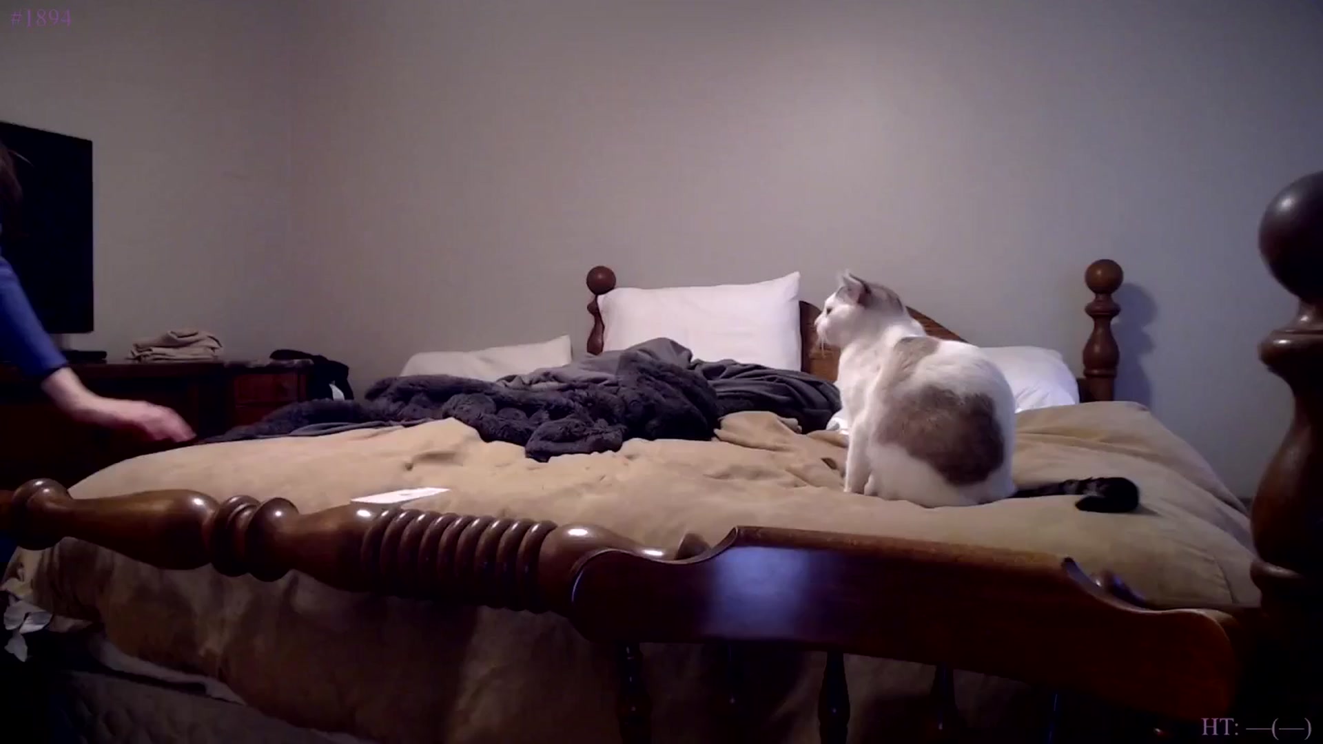AprilStFranco video thumbnail