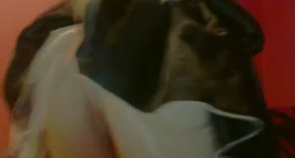 XTCKitty video thumbnail