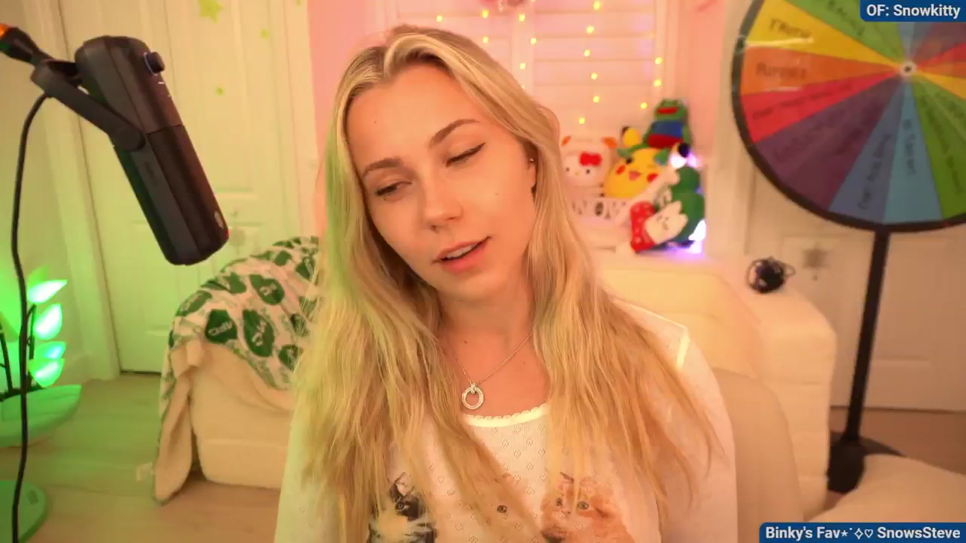Snowkitty video thumbnail