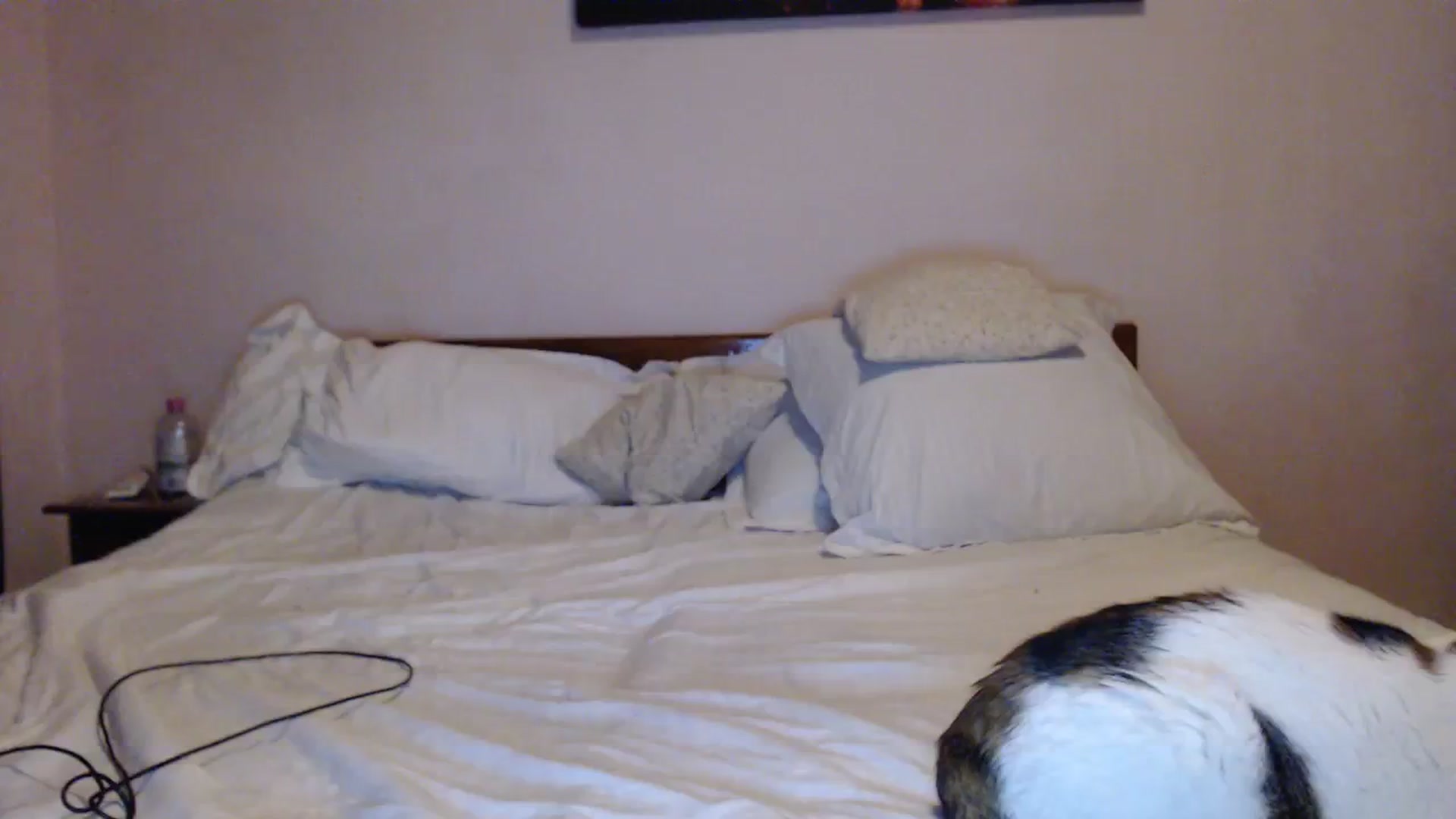 Aahh_Emilia video thumbnail
