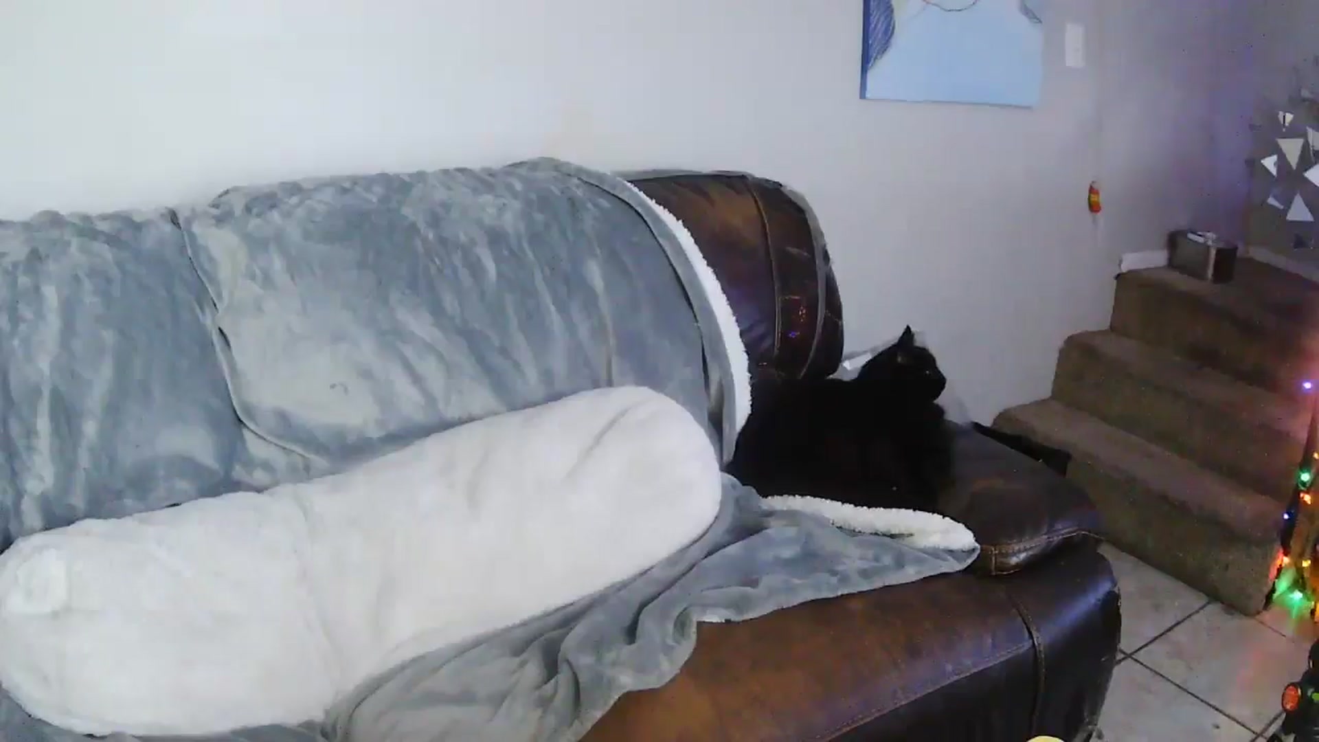 LexiFoxx video thumbnail