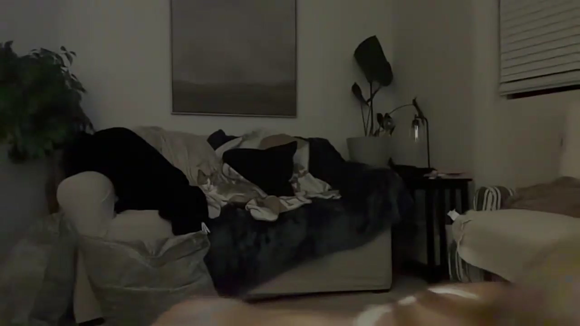 BarbieBenson_xo video thumbnail