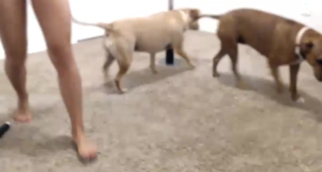 HallieHarper video thumbnail