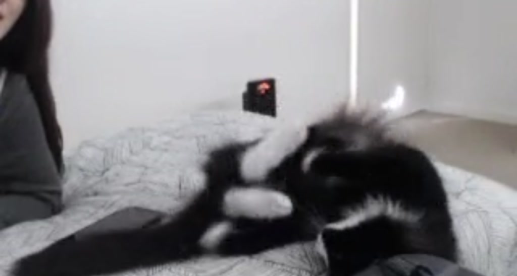 MissSpencer96 video thumbnail