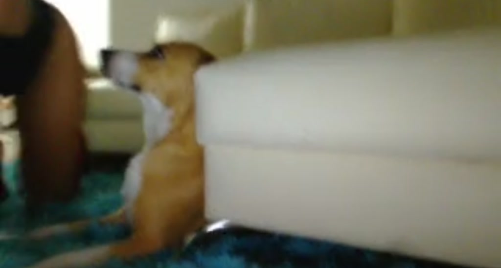 Kimtylor_ video thumbnail