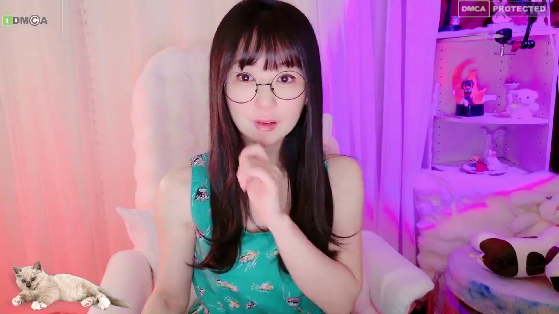 meows video thumbnail
