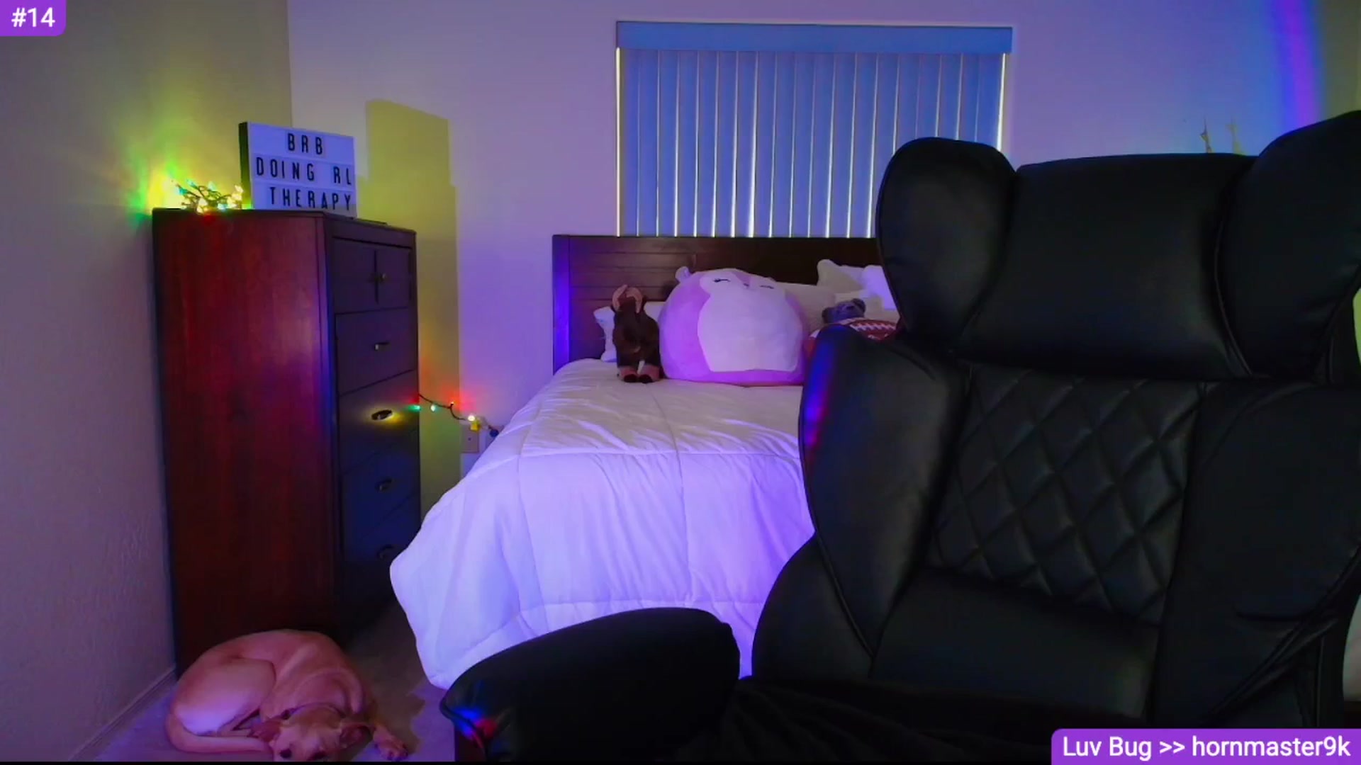 Sammy_gray video thumbnail