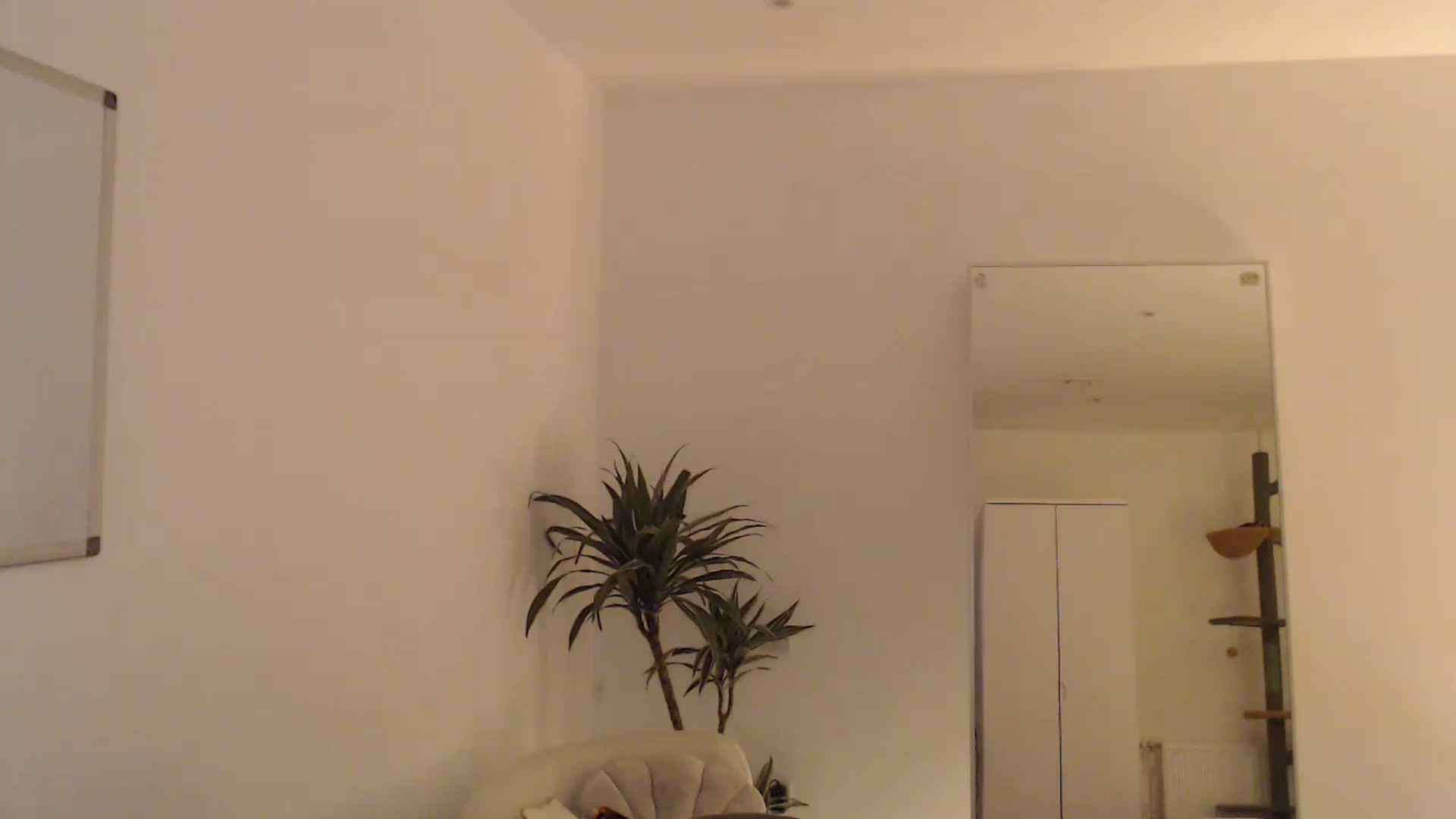 anacardi video thumbnail