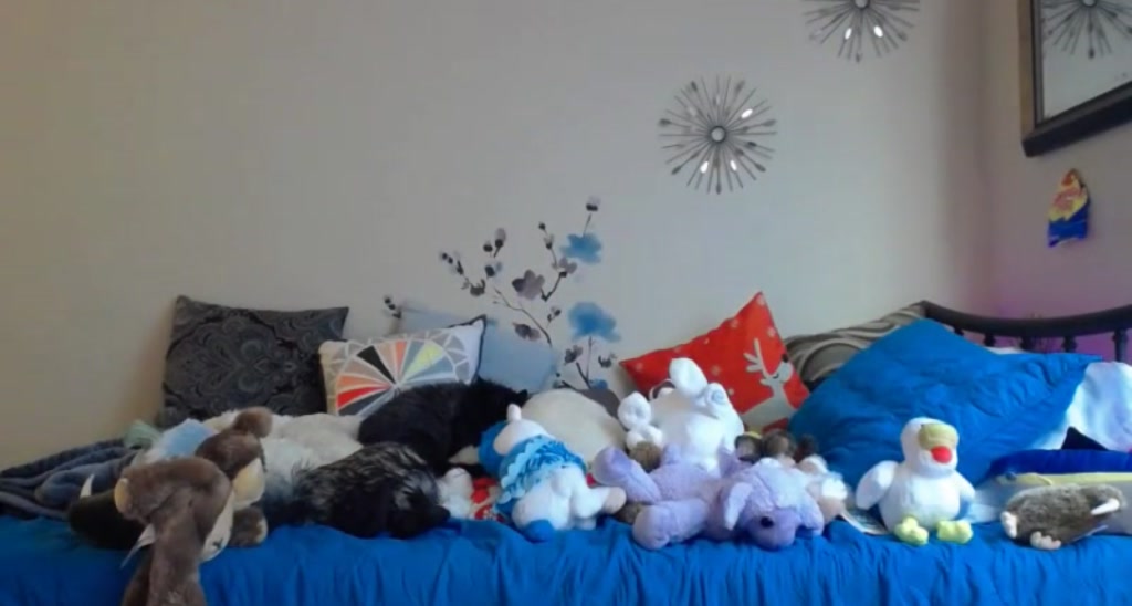 emilylynne video thumbnail