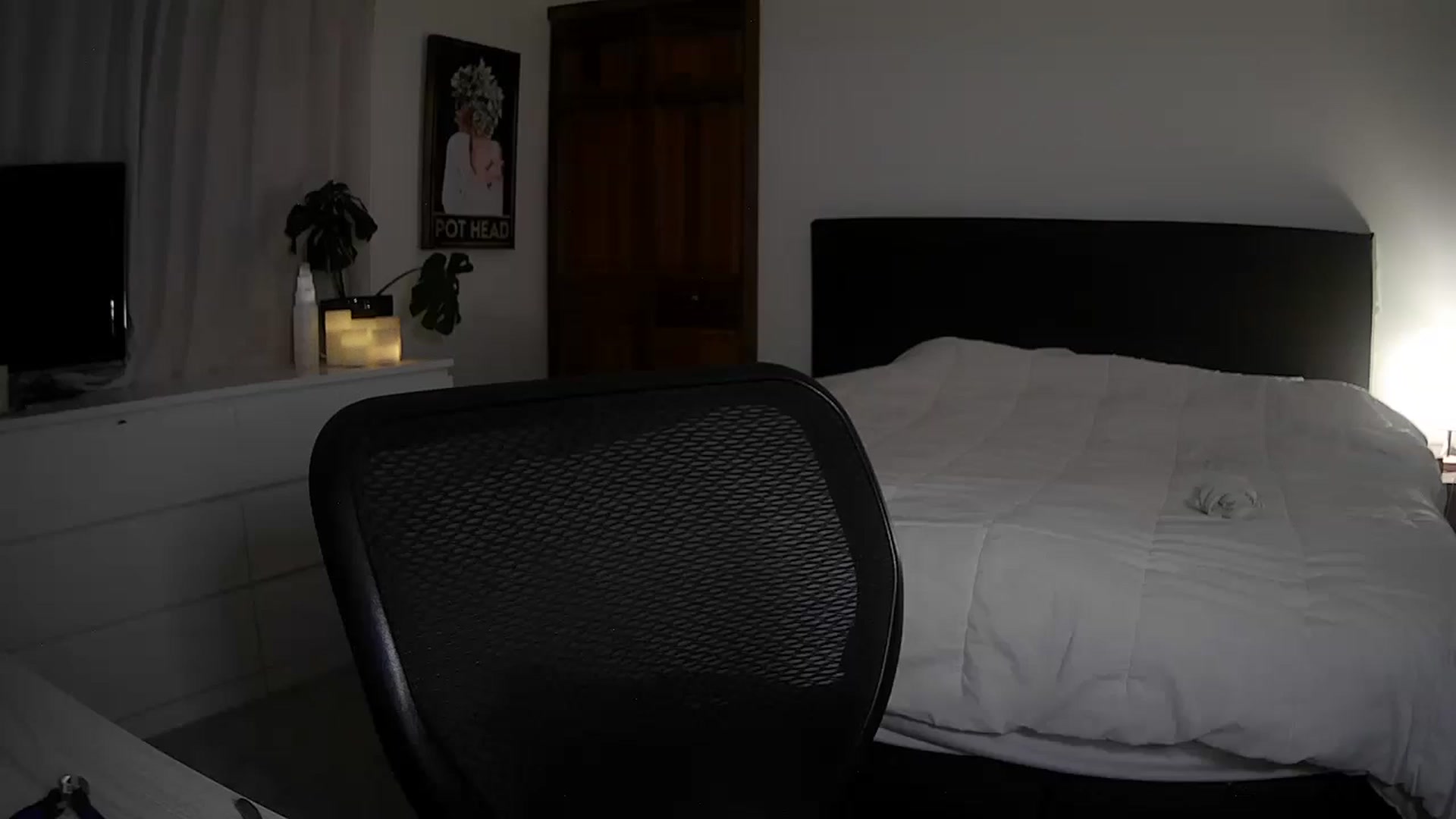Bambi20 video thumbnail