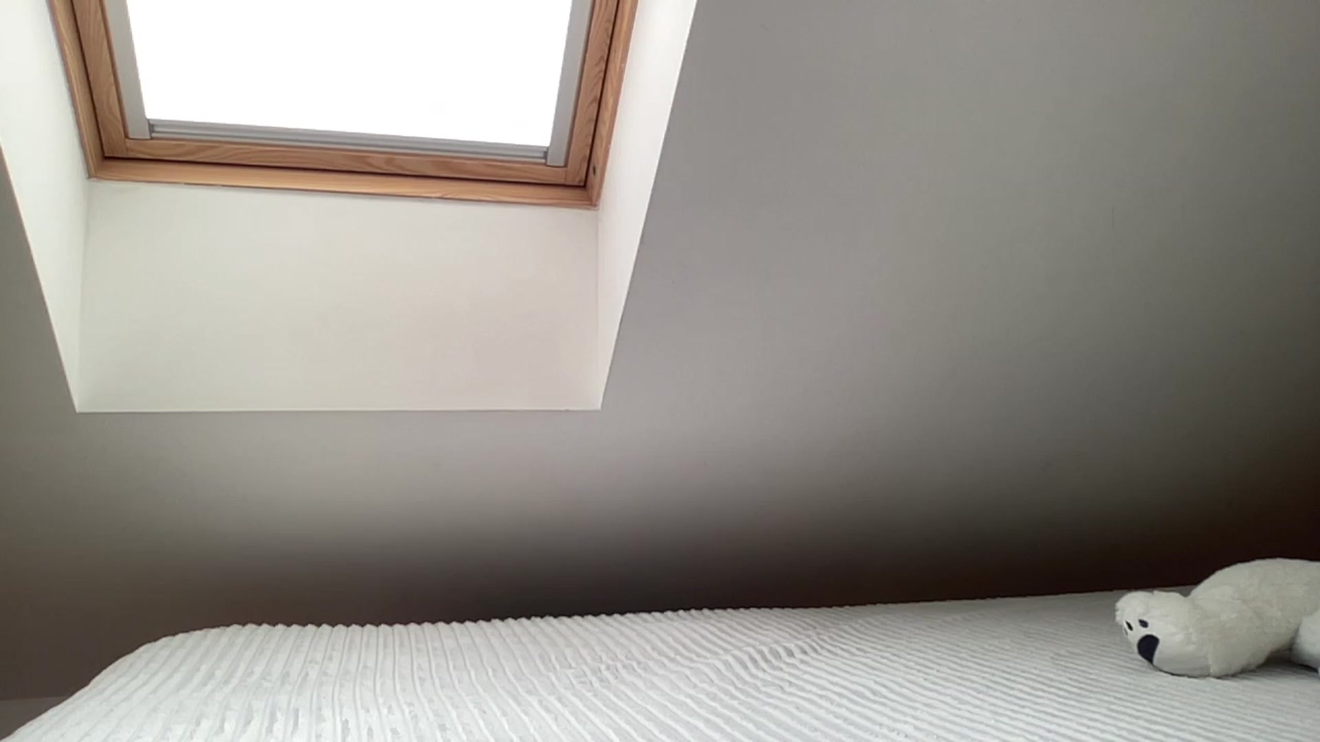 MagicElfie video thumbnail