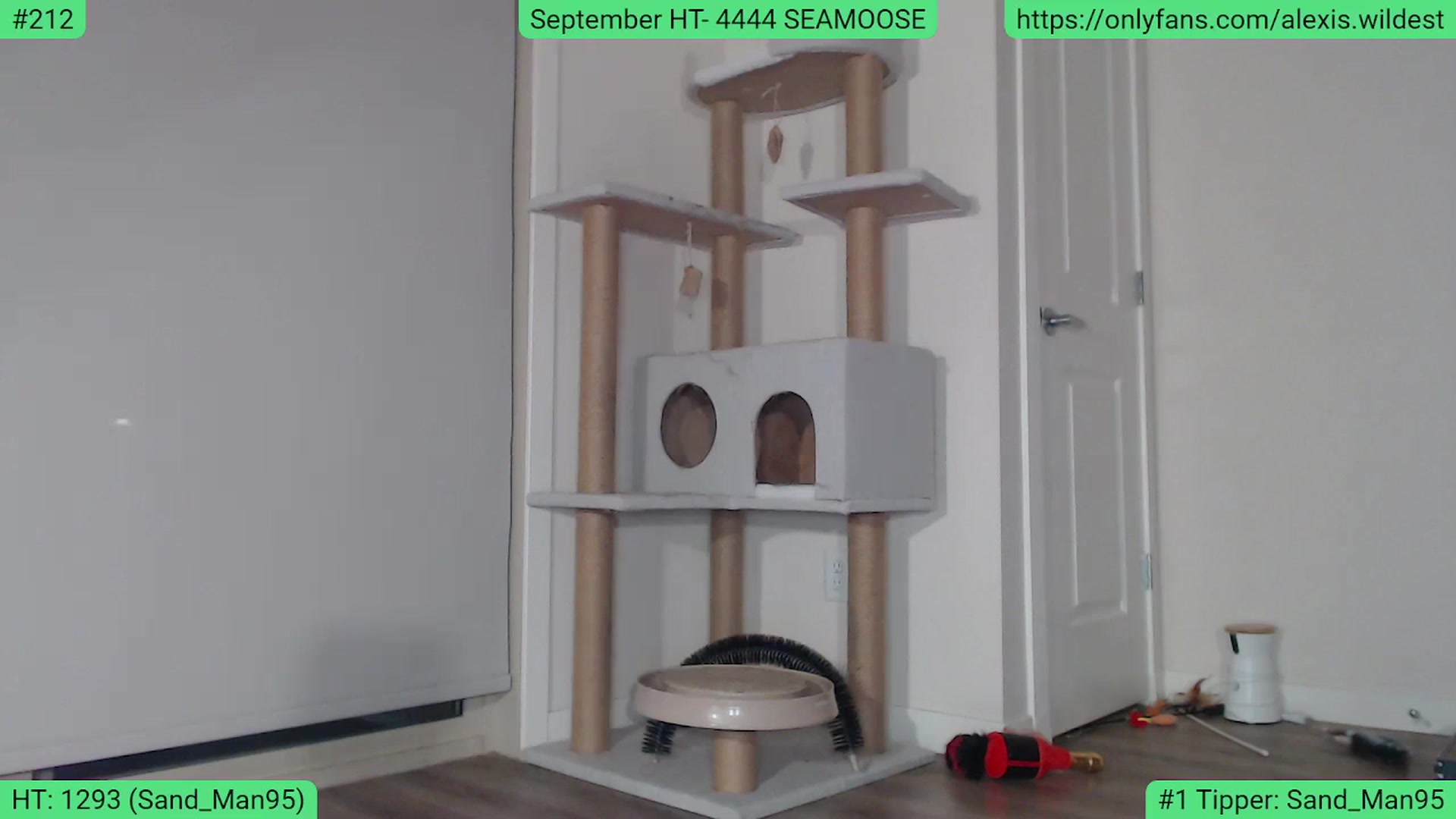 AlexisWildest video thumbnail