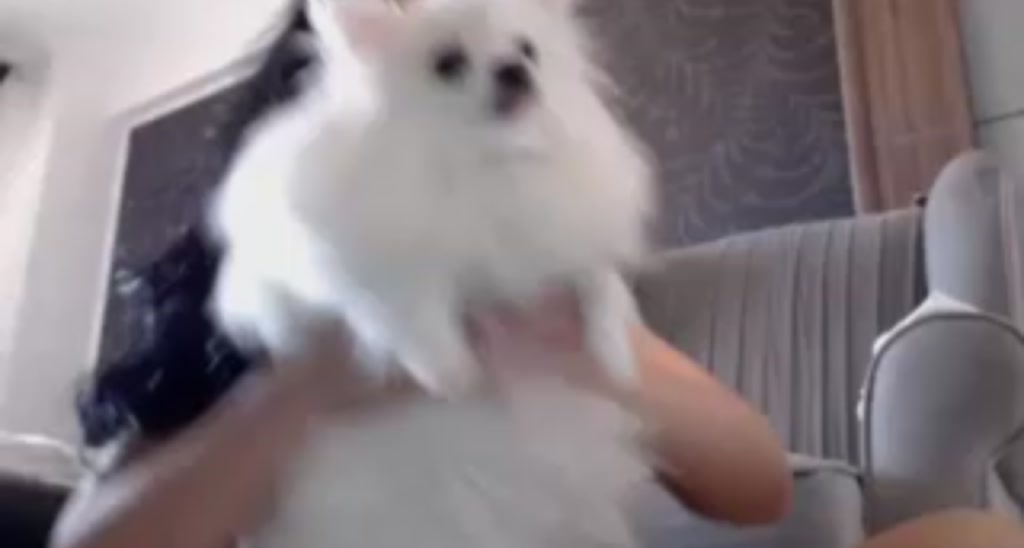 KeenAngelll video thumbnail