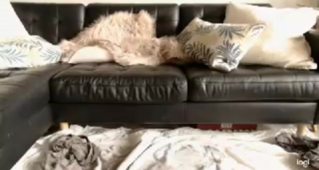 Bella_Ellah video thumbnail