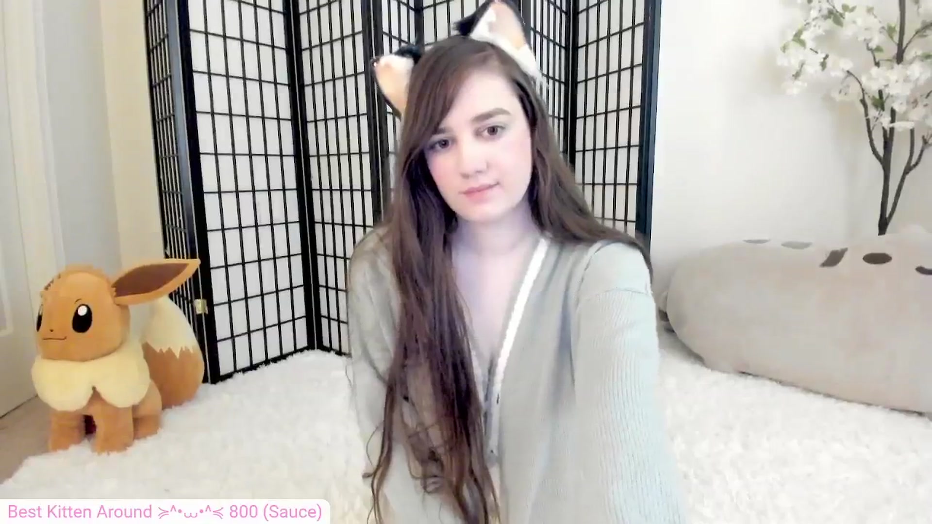 Kitty video thumbnail