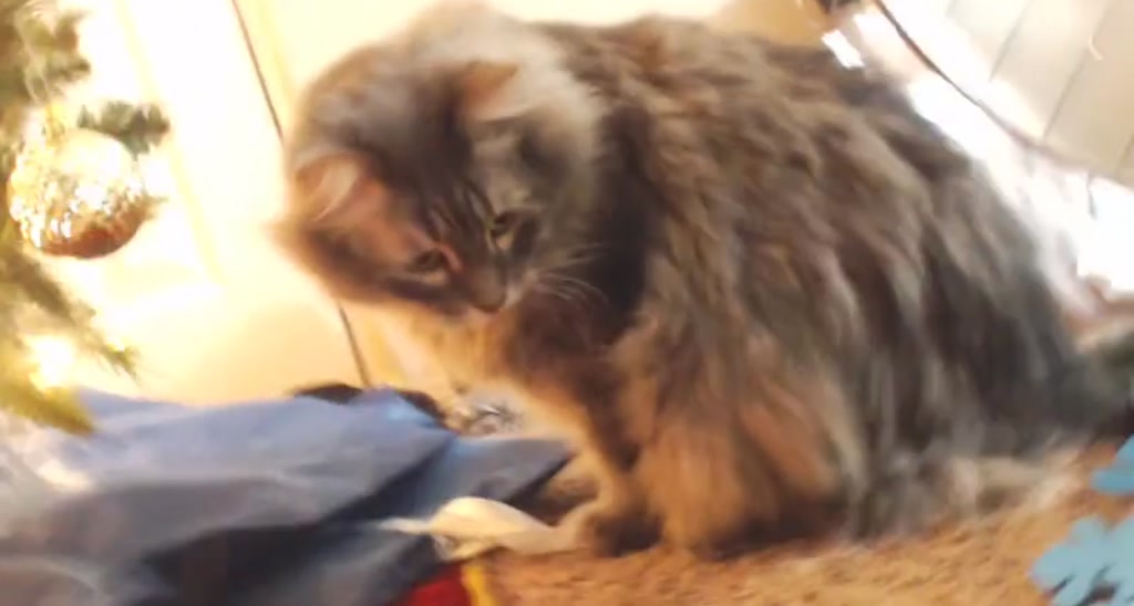 CosmicNeko video thumbnail
