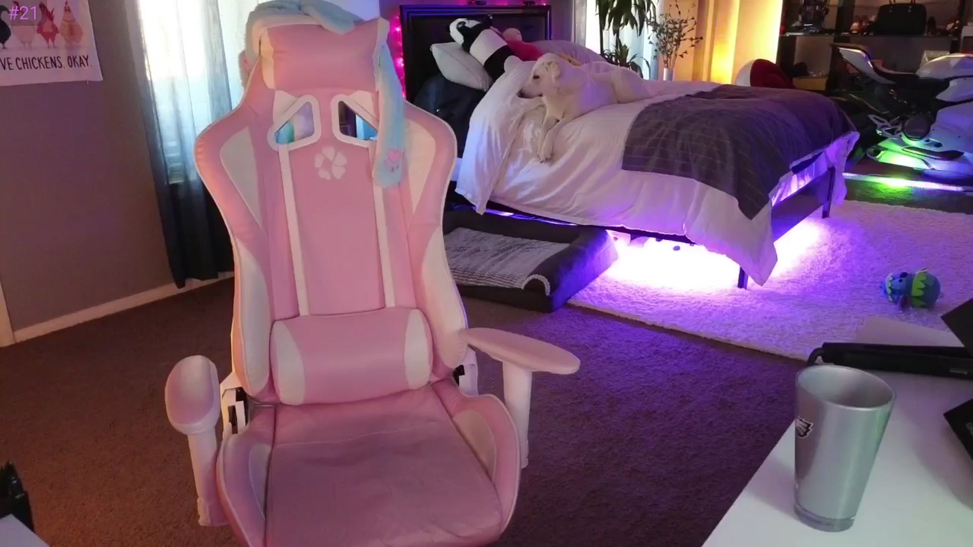 LexxiStar video thumbnail