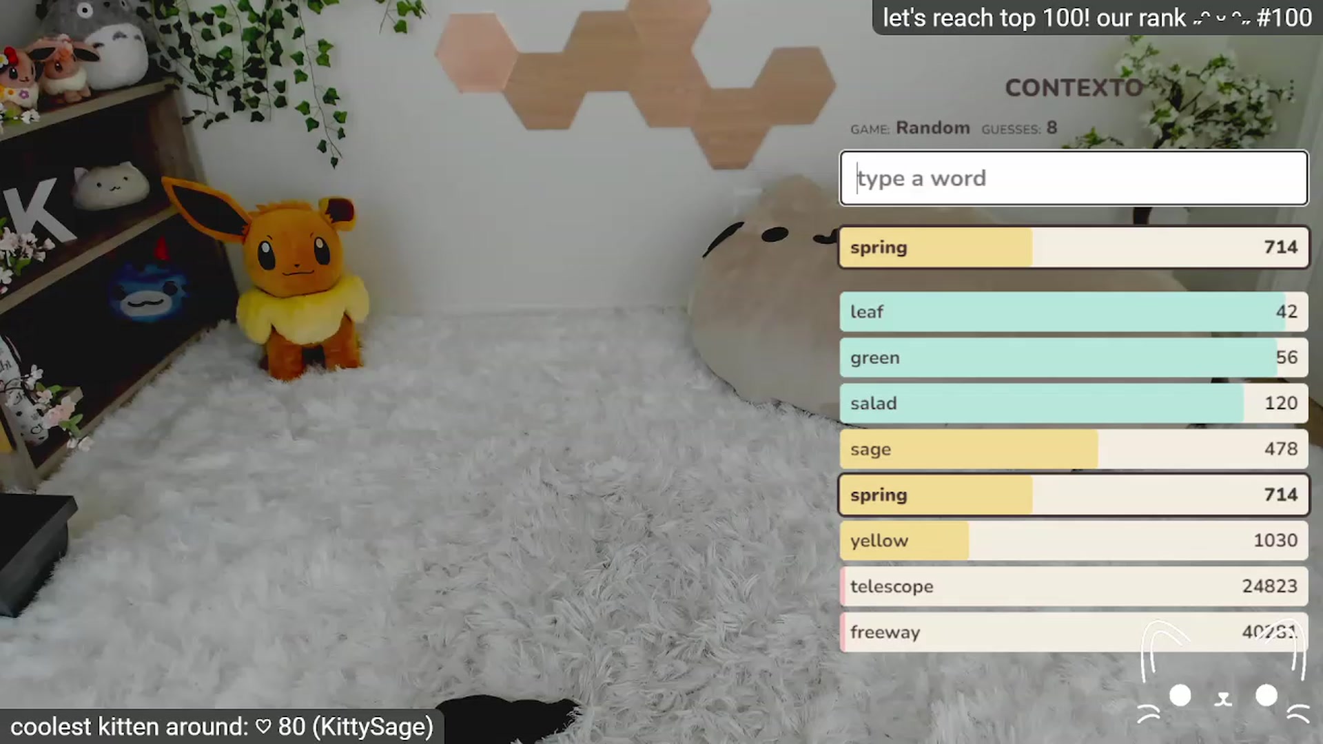 Kitty video thumbnail