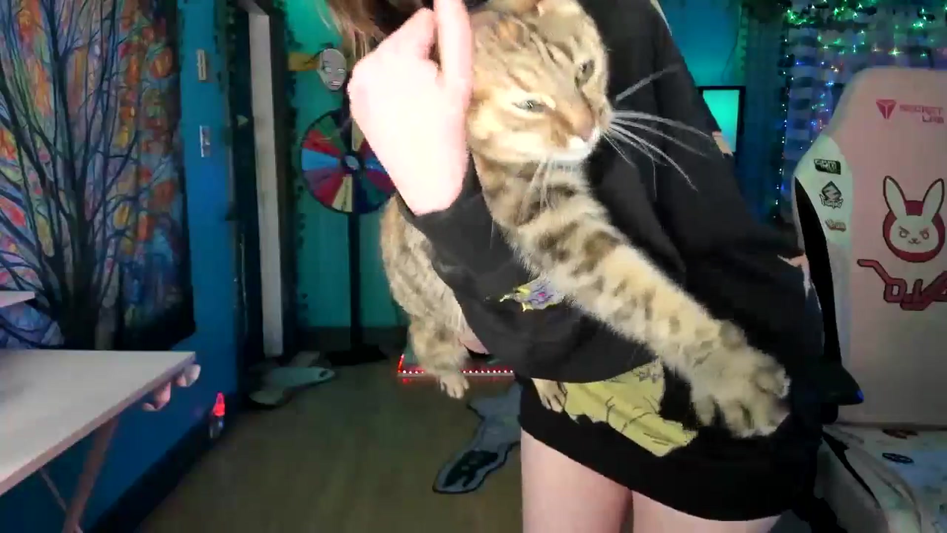 MapleMaya video thumbnail
