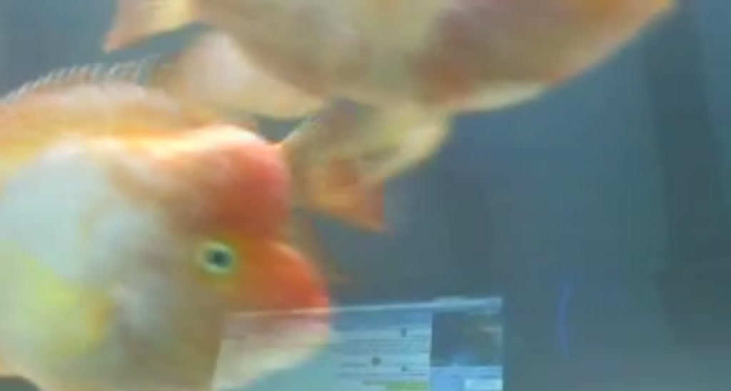ItsCleo video thumbnail