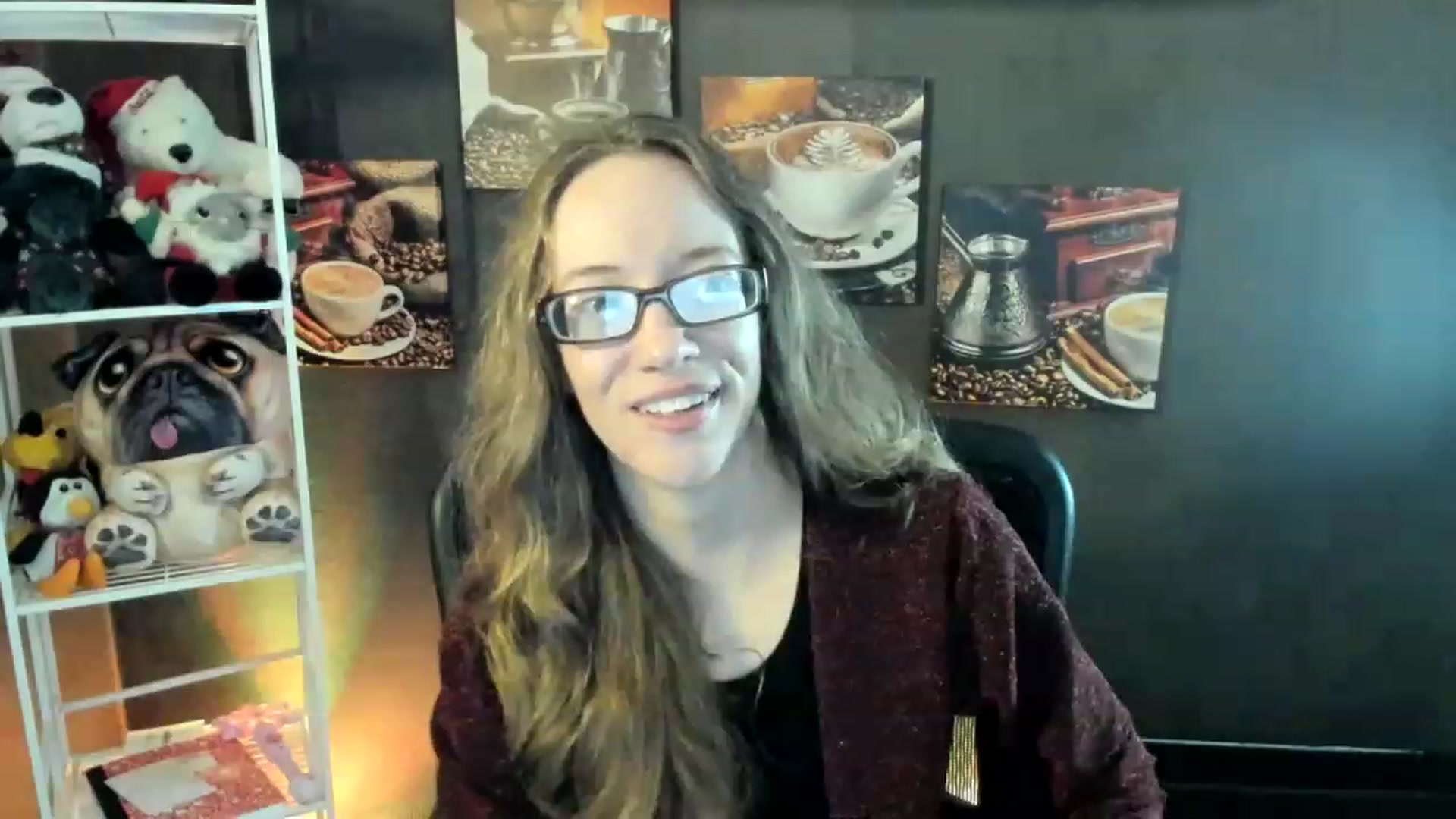 DocDropBear video thumbnail