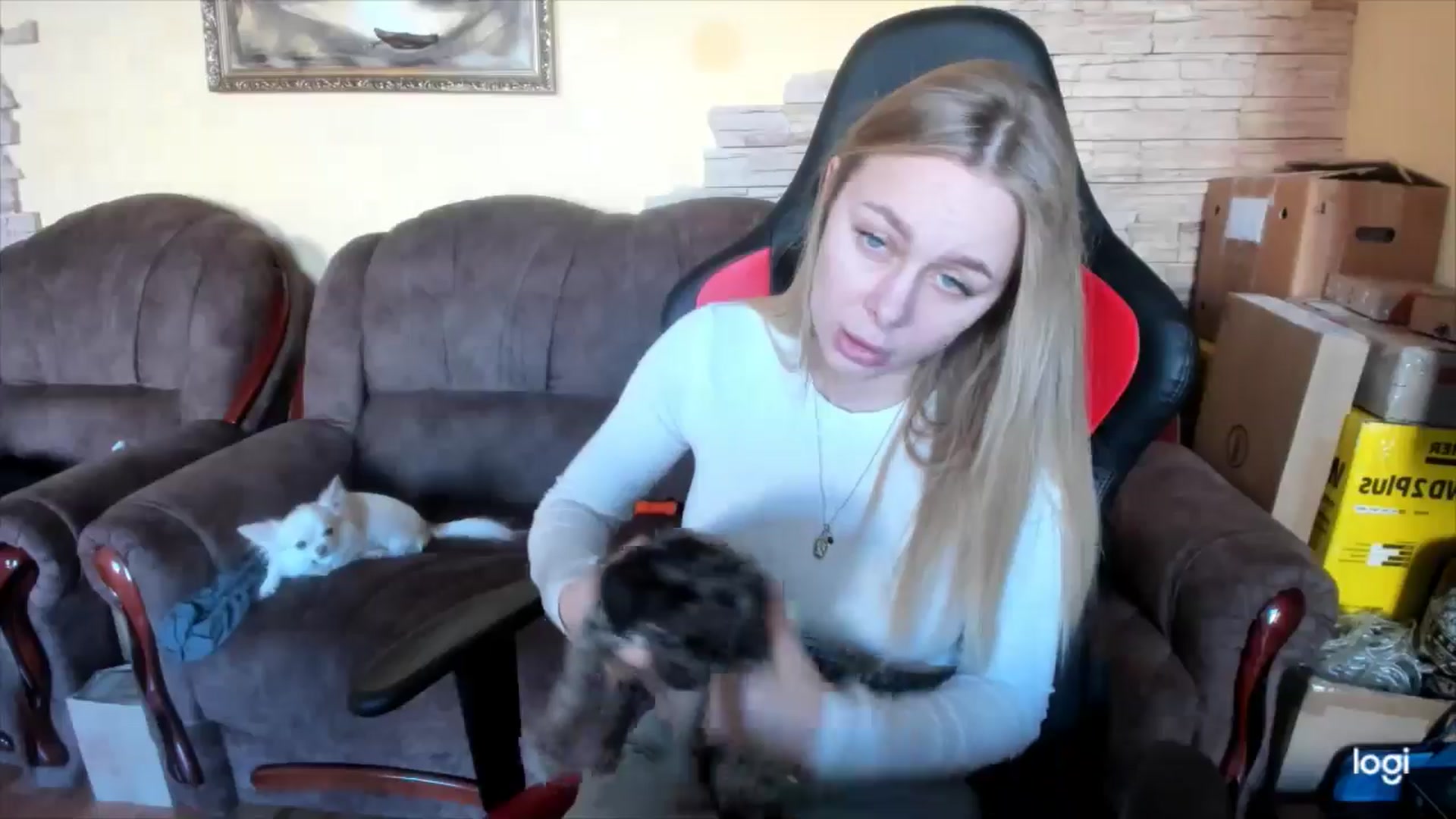 YourPupsik video thumbnail