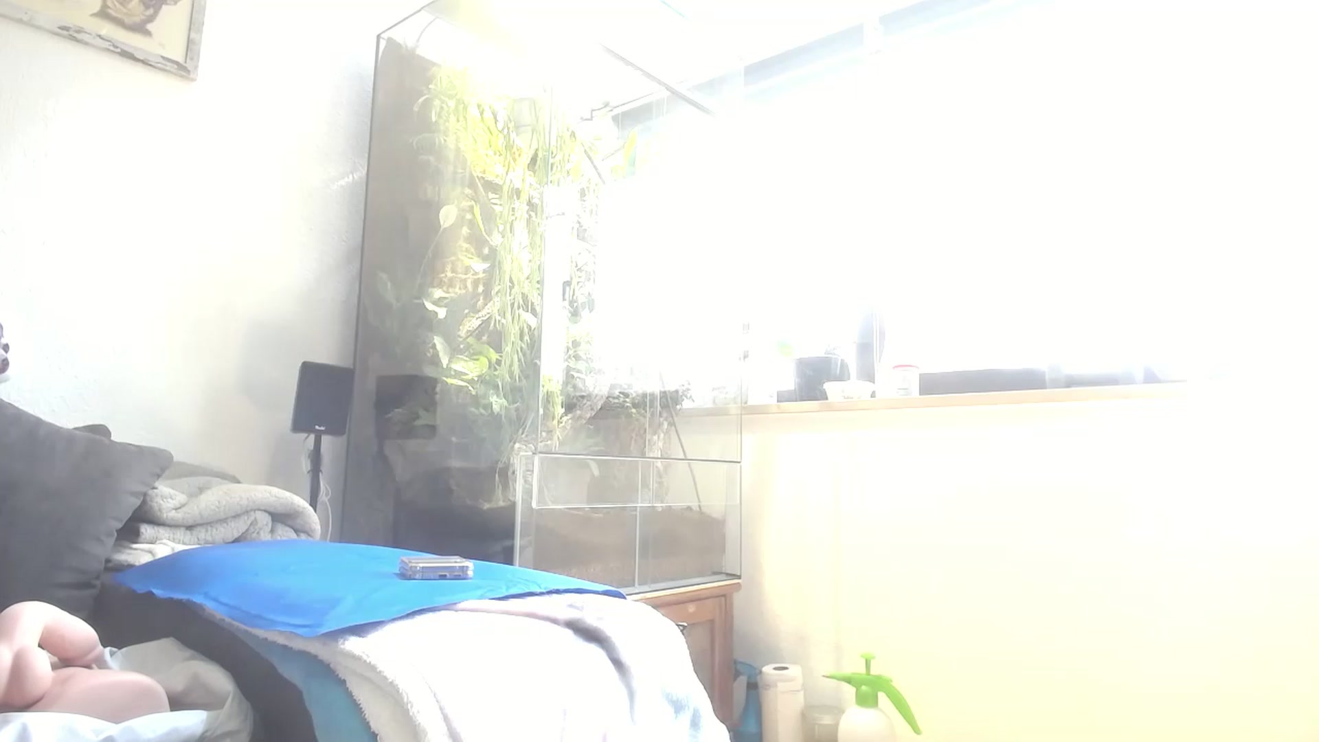 MiaMaxxx video thumbnail