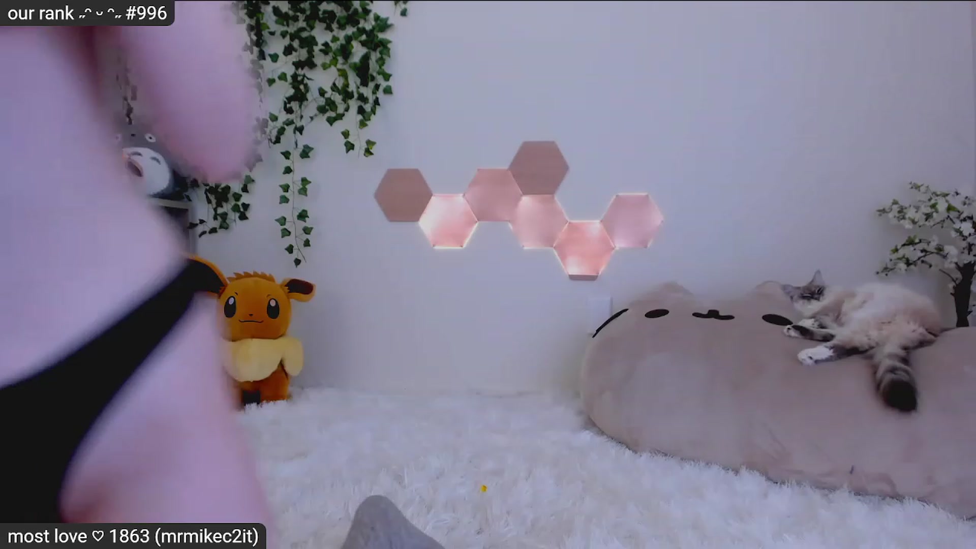 Kitty video thumbnail