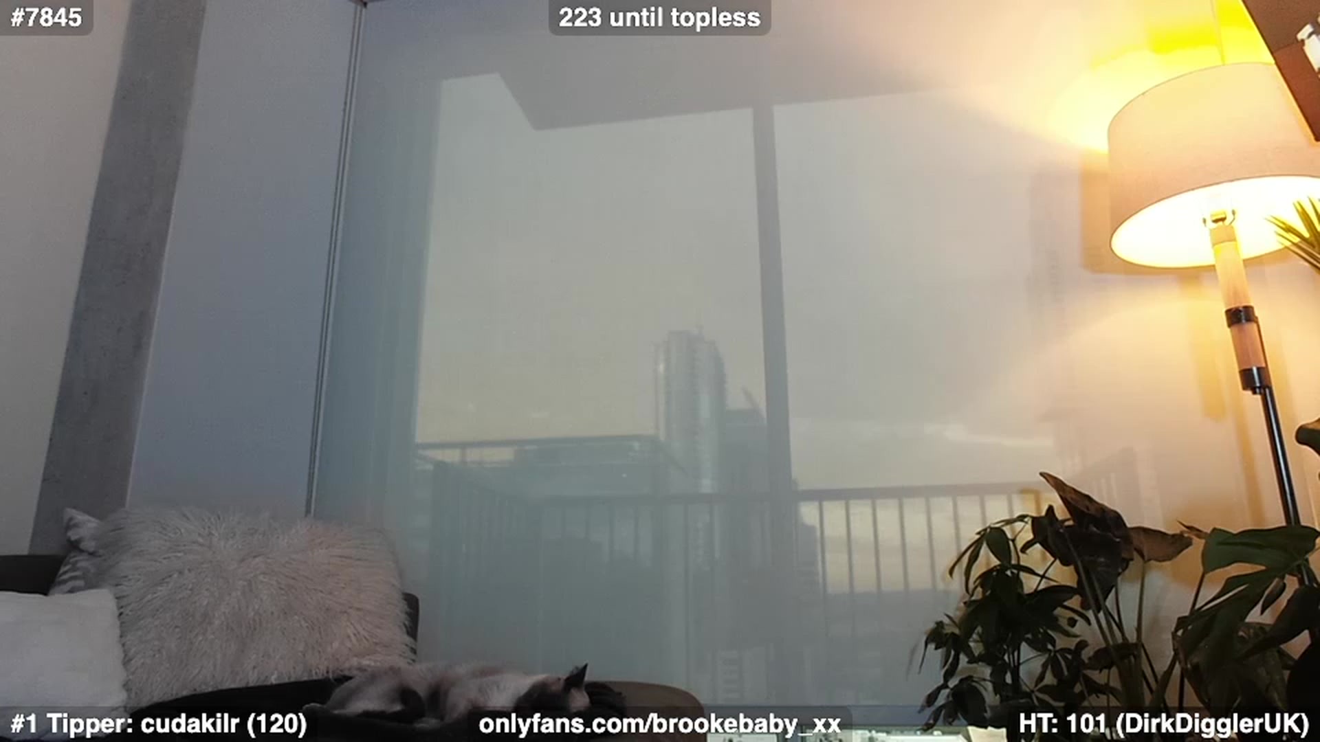 Brookebaby_ video thumbnail